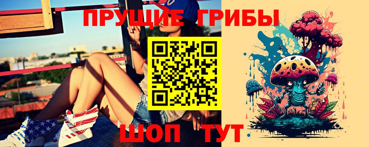 Темрюк  Галлюциногенные грибы Psilocybine cubensis  Вход с VPN 