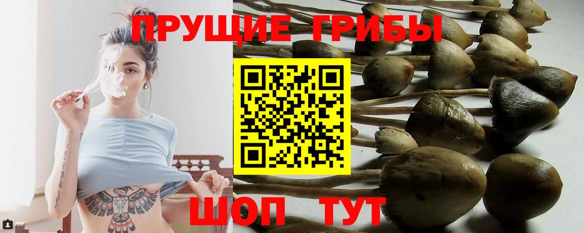 Галлюциногенные грибы GOLDEN TEACHER Темрюк